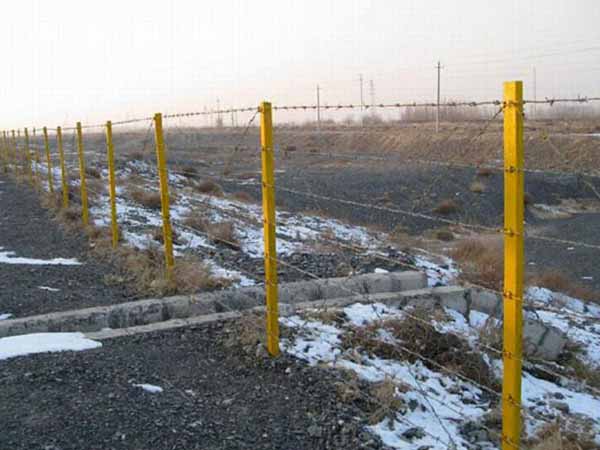 刺繩護欄網 - 安平縣全昊金屬(shǔ)絲(sī)網制品有限公司圖片2